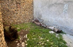 Saint-Victor-de-Malcap, Gard 30500