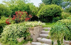 Gigean, Languedoc-Roussillon 34770