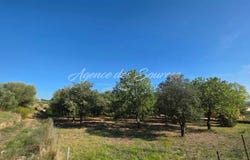 Tavernes, Var 83670