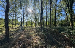 VENANSAULT, Pays de la Loire 85190