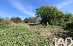 Quettehou, Normandy 50630