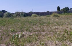 Bourcefranc-le-Chapus, Poitou-Charentes 17560