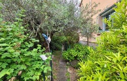 Ceret, Languedoc-Roussillon 66400