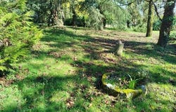 Spay, Pays de la Loire 72700