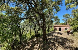 Pignans, Provence-Alpes-Côte d'Azur 83790