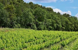 Suze-la-Rousse, Rhône-Alpes 26790