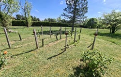 Cahors, Lot 46000