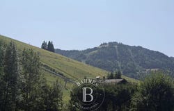 La Clusaz, Auvergne-Rhône-Alpes 74220