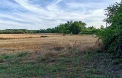 Bazas, Aquitaine 33430