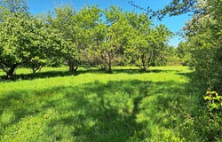 Chaillac, Centre 36310