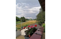Michelbach-le-Bas, Grand Est 68730