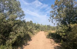 Carcès, Var 83570