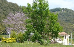 Saint-André-de-Majencoules, Languedoc-Roussillon 30570
