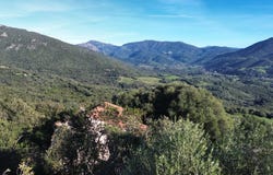 Olmeto, Corse-du-Sud 20113