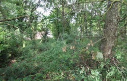 BLERE, Centre-Val de Loire 37150