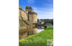 Fougères, Ille-et-Vilaine 35300