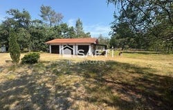 Trensacq, Aquitaine 40630