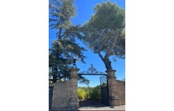 Saint-André-de-Sangonis, Languedoc-Roussillon 34725