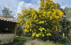 Rochefort-du-Gard, Languedoc-Roussillon 30650