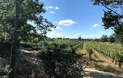 Saint-Jean-de-Védas, Languedoc-Roussillon 34430