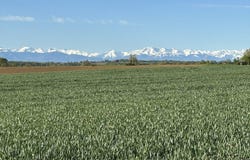 Masseube, Midi-Pyrénées 32140