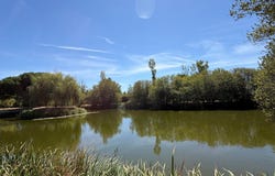 Soullans, Pays de la Loire 85300