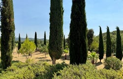 Sabran, Languedoc-Roussillon 30200