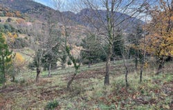 OLARGUES, Occitanie 34390
