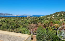 Lumio, Corsica 20260
