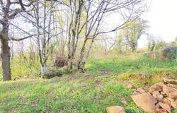 PRUDHOMAT, Occitanie 46130