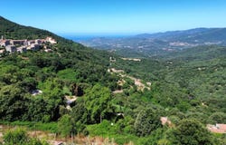 Sollacaro, Corse-du-Sud 20140