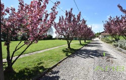 Rouzède, Poitou-Charentes 16220