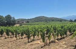 PERPIGNAN, Occitanie 66000