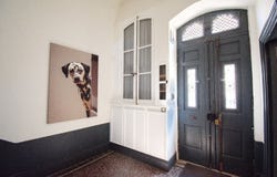 Caux, Languedoc-Roussillon 34720