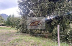 Calenzana, Haute-Corse 20214