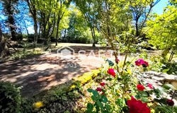 Rives De l'Yon, Bourgogne 85310