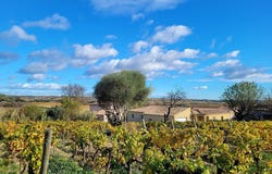 Autignac, Languedoc-Roussillon 34480