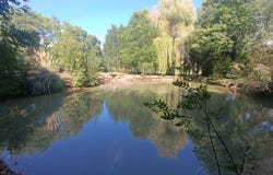 Brûlon, Pays de la Loire 72350