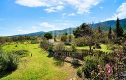 Argelès-sur-Mer, Languedoc-Roussillon 66700