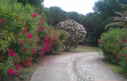Laroque-des-Albères, Languedoc-Roussillon 66740