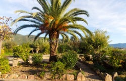 Sagone, Corsica 20118