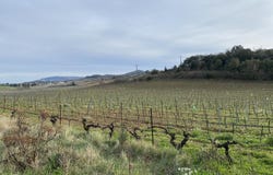 Ajac, Languedoc-Roussillon 11300