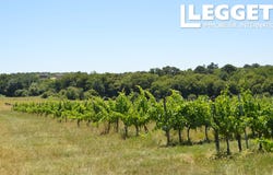 Sainte-Gemme, Nouvelle-Aquitaine 33580