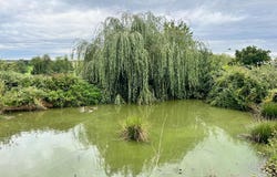 Chézy, Auvergne 03230