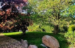 Grandfontaine, Alsace 67130