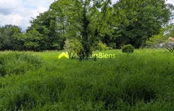 Monteneuf, Morbihan 56380