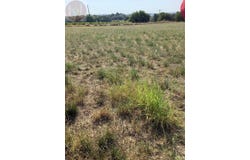 Aigremont, Gard 30350