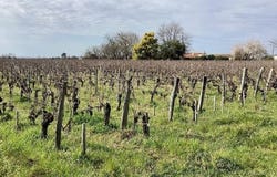 Saint-Sulpice-De-Faleyrens, Aquitaine 33330