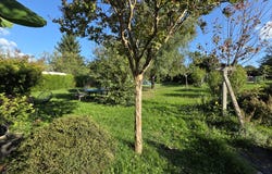 Limoges, Limousin 87000