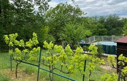 Barjac, Midi-Pyrénées 09230